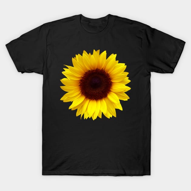 Sunflower Design T-Shirt by maro_00